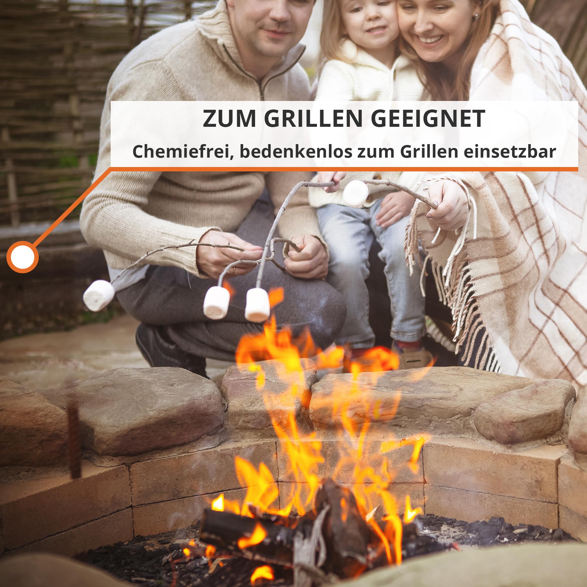 Brennholz mit 25cm Scheitlänge (10kg)