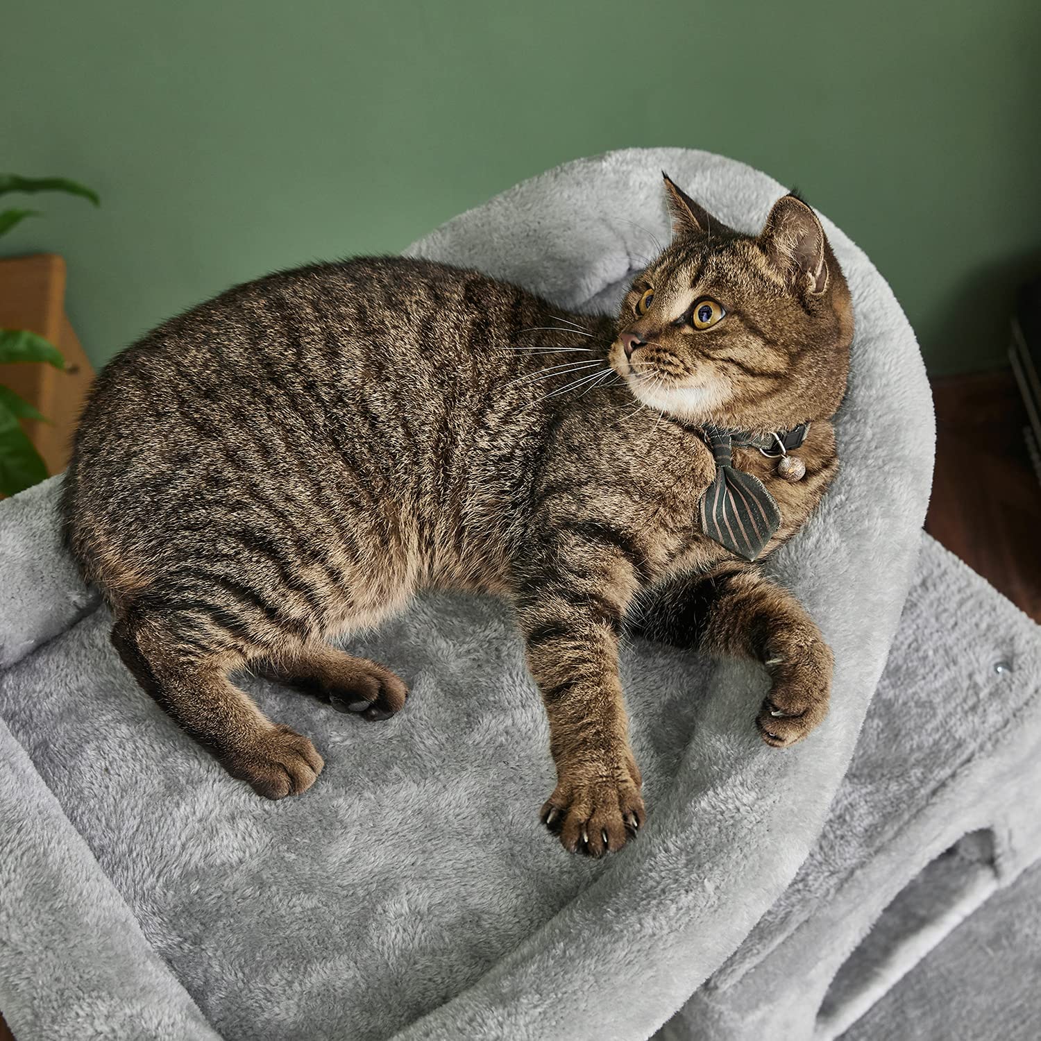 Kratzbaum für Katzen Mayor (118cm)