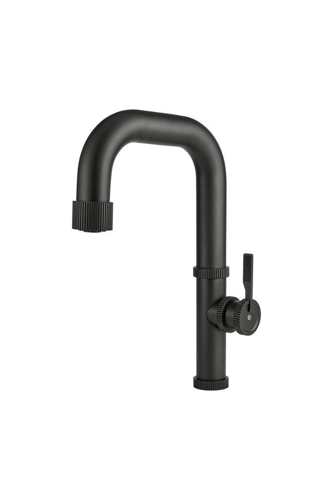 Armate Linea Raw | Küchenarmatur | Hochdruck | Schwarz matt (5011276)