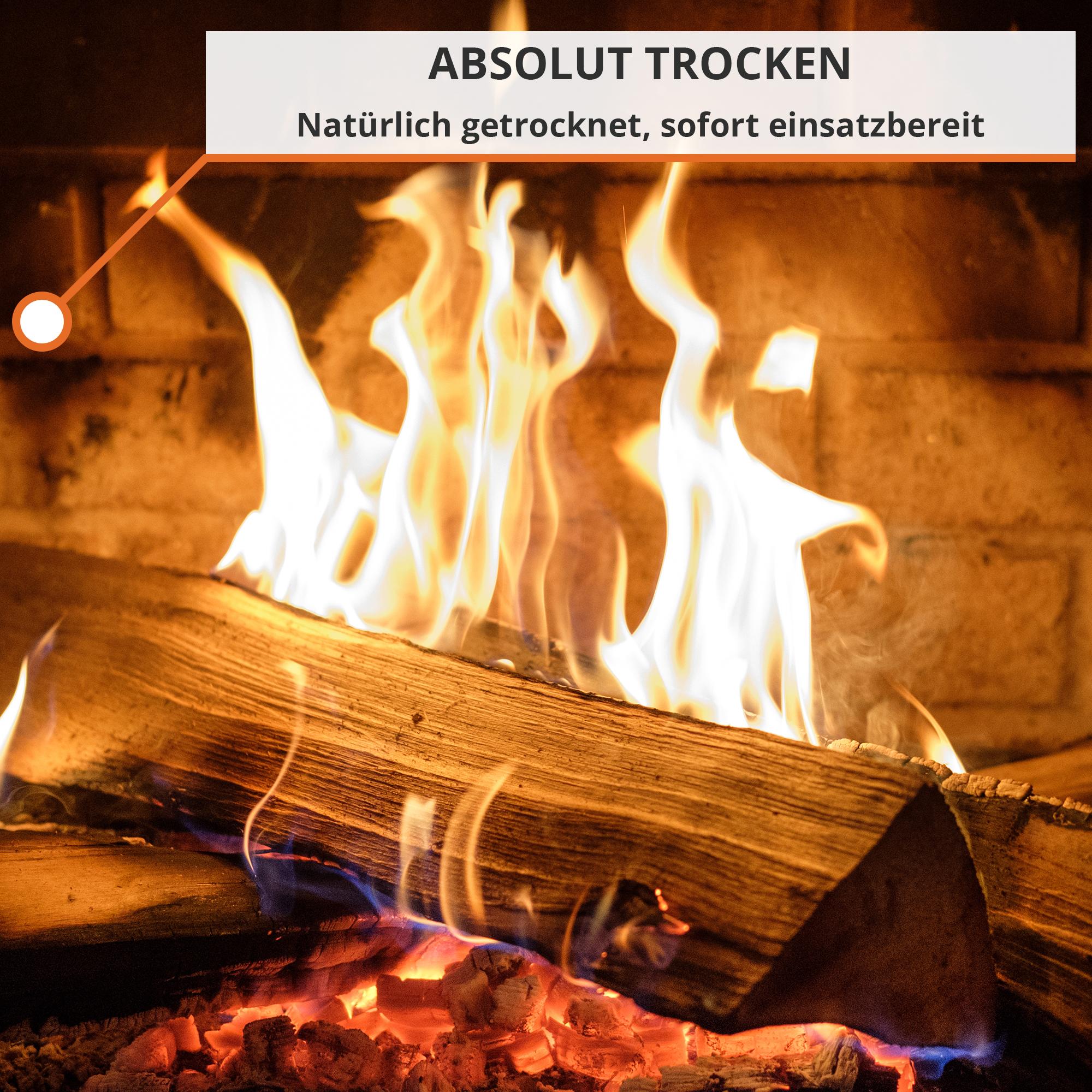 Brennholz mit 25cm Scheitlänge (10kg)