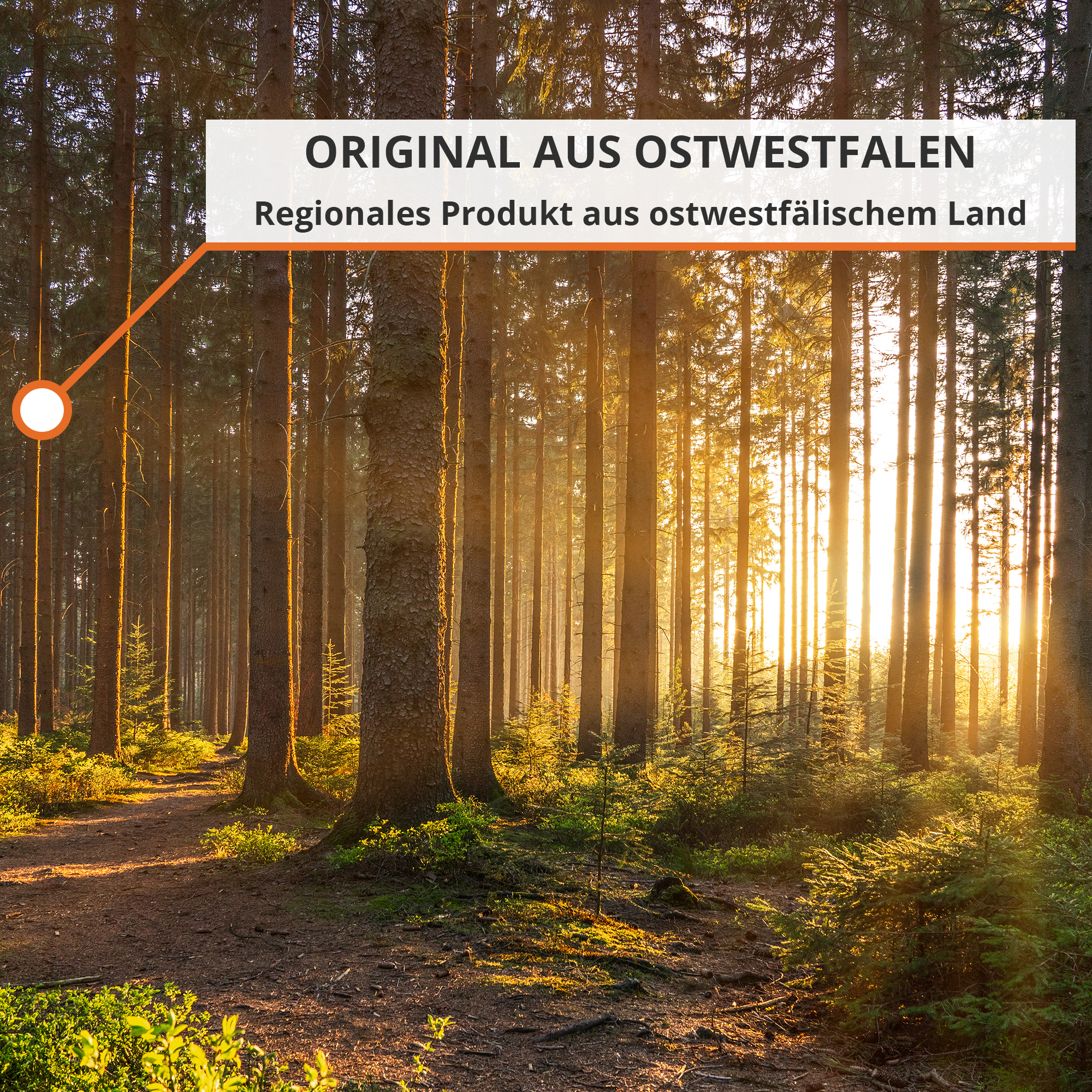 Brennholz mit 25cm Scheitlänge (10kg)